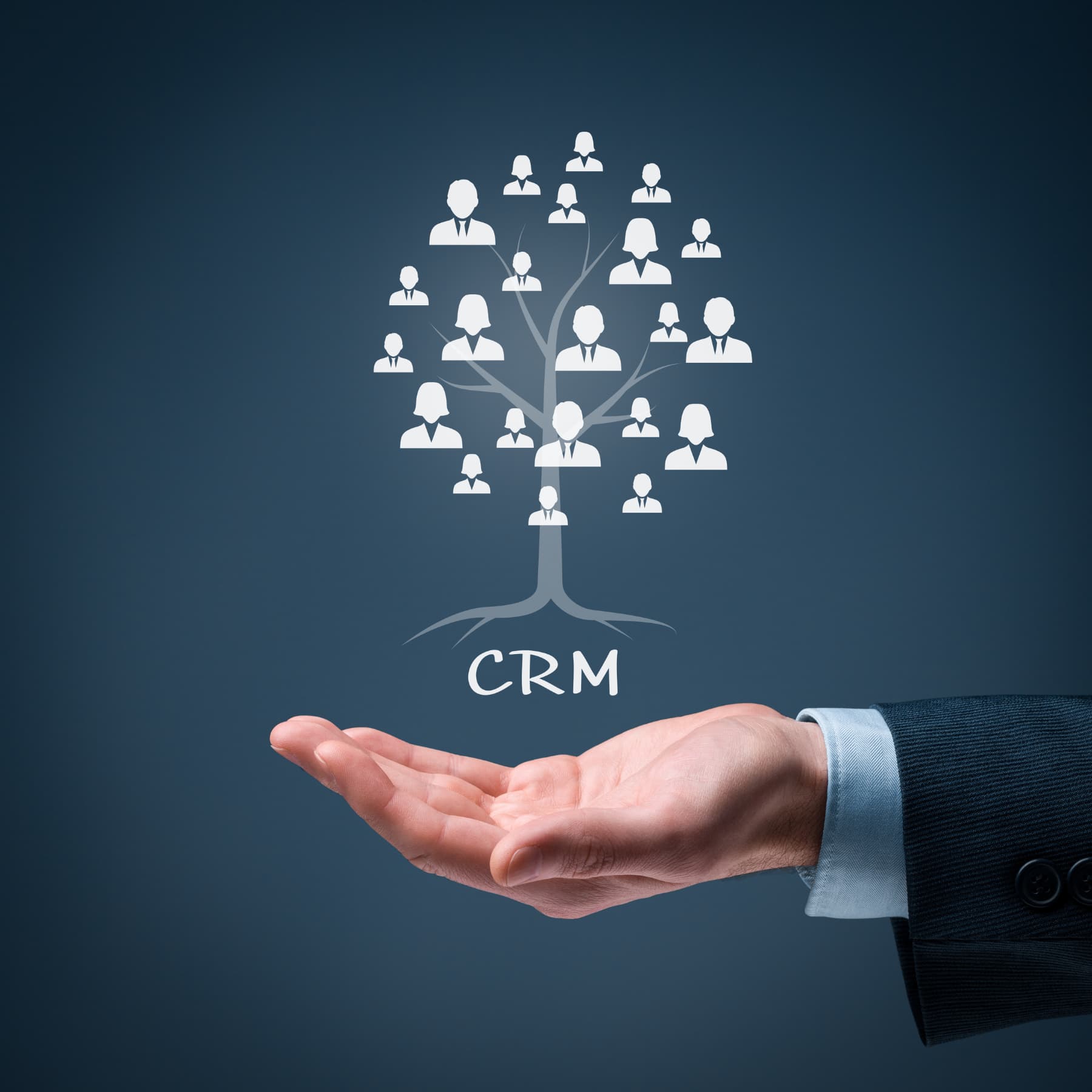Mano de un hombre con traje sosteniendo un árbol virtual con figuras de clientes en sus ramas, simbolizando cómo su CRM le permite gestionar todas sus relaciones con los clientes en la palma de su mano.